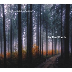 김성수 & 이건민 - Into The Woods (CD)